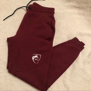 NWOT Alphalete Maroon Joggers